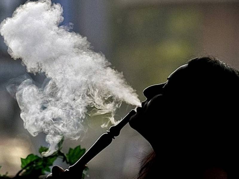 Dangers of Damiana Smoke you should be aware&nbsp;of