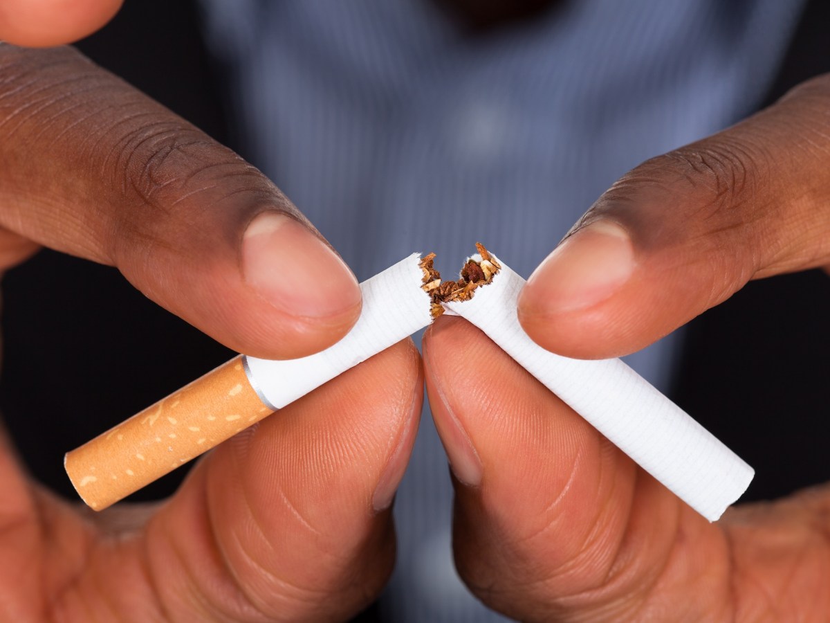 Read to Know the Benefits You Can Have with&nbsp;Damiana