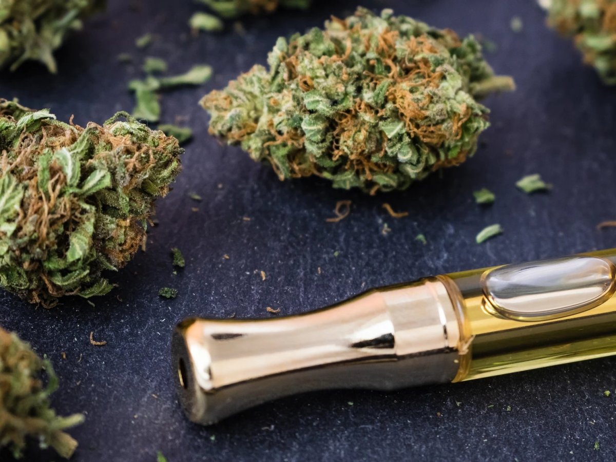 What Are the Health Benefits of Damiana&nbsp;Herb?